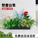 Simulated green plant landscaping combination entrance hall indoor atmosphere