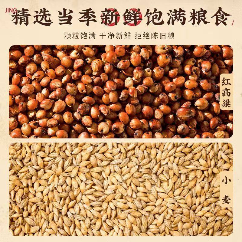 高粱小麦子混合喂鸽子喂鸡鹌鹑渣糁红高梁营养鸽粮食保健砂观赏鸽,淘宝优惠券,粉丝福利购,淘宝优惠卷