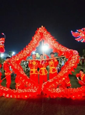 舞龙舞狮全套龙灯龙狮灯夜光服装