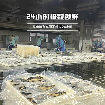 锅圈食汇火锅烤鱼半成品冷冻鮰鱼650g/袋[10元优惠券]-寻折猪
