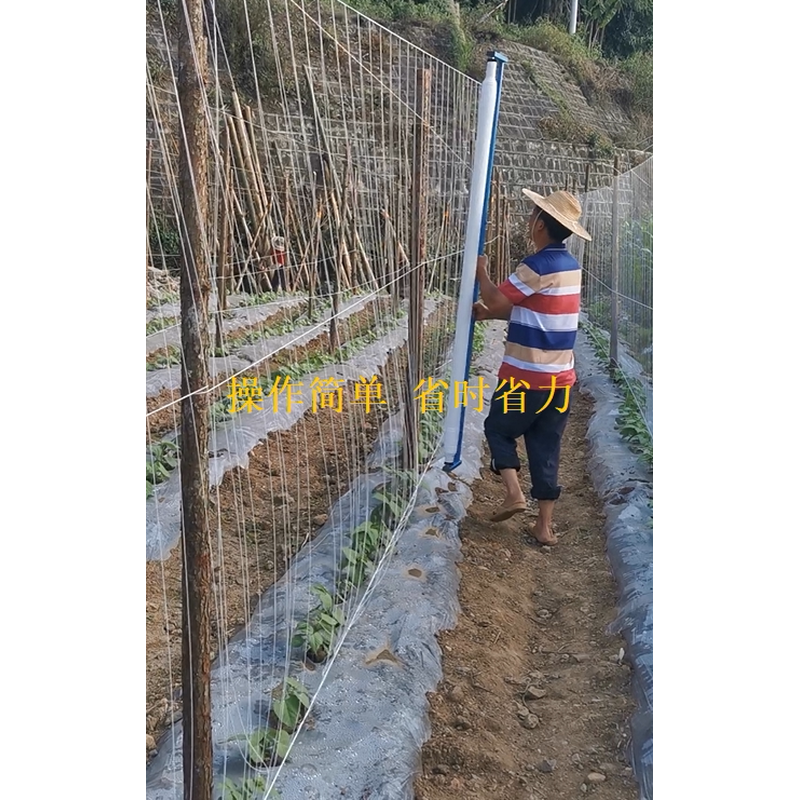 豆乐爬藤网厂家种植神器四季豆网豌豆网豇豆豆角网荷兰豆免挂线 - 图2