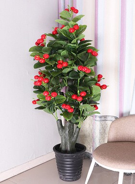 仿真金桔樱桃假树果树大树盆栽塑料植物室内装饰S盆景落地绿植摆