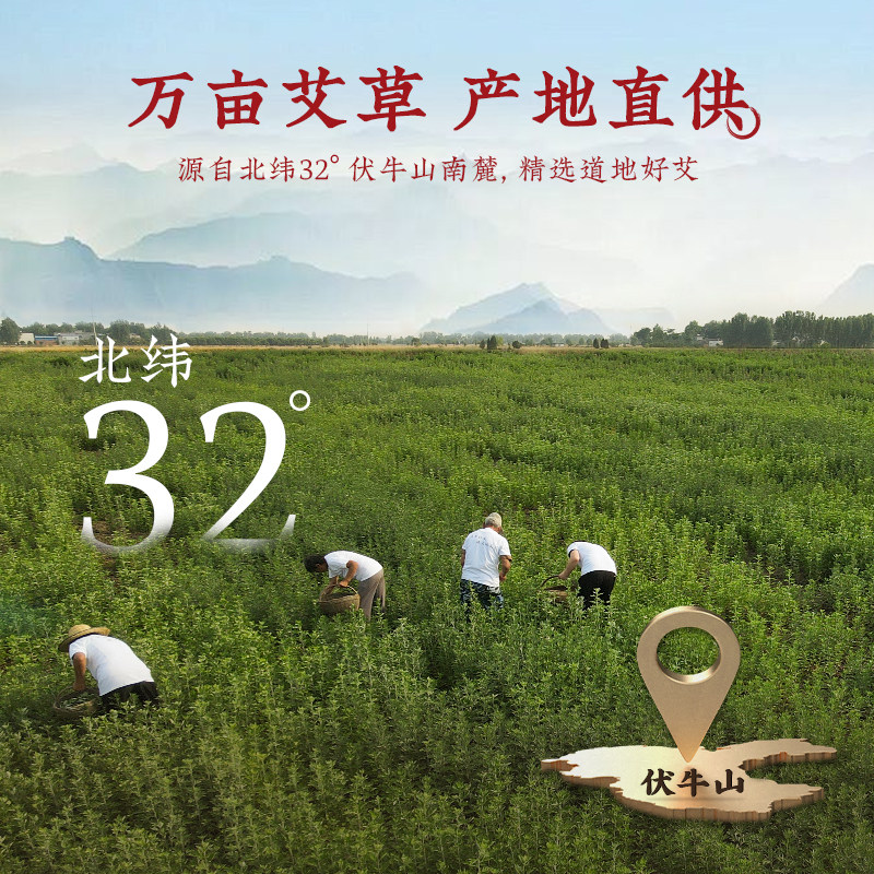 潘高寿三年五年艾灸柱陈化艾柱短艾灸柱纯艾制品正品官方旗舰店,淘宝优惠券,粉丝福利购,淘宝优惠卷