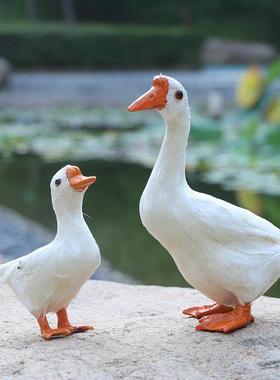 仿真鹅模型拍照大白鹅摆件室内园林草地装饰鹅摄影拍照道具鹅鸭子