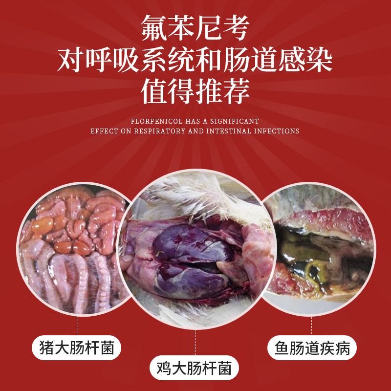 华畜兽药氟苯尼考粉兽用多西环素猪呼吸道感染小鸡禽感冒咳嗽气喘,淘宝优惠券,粉丝福利购,淘宝优惠卷