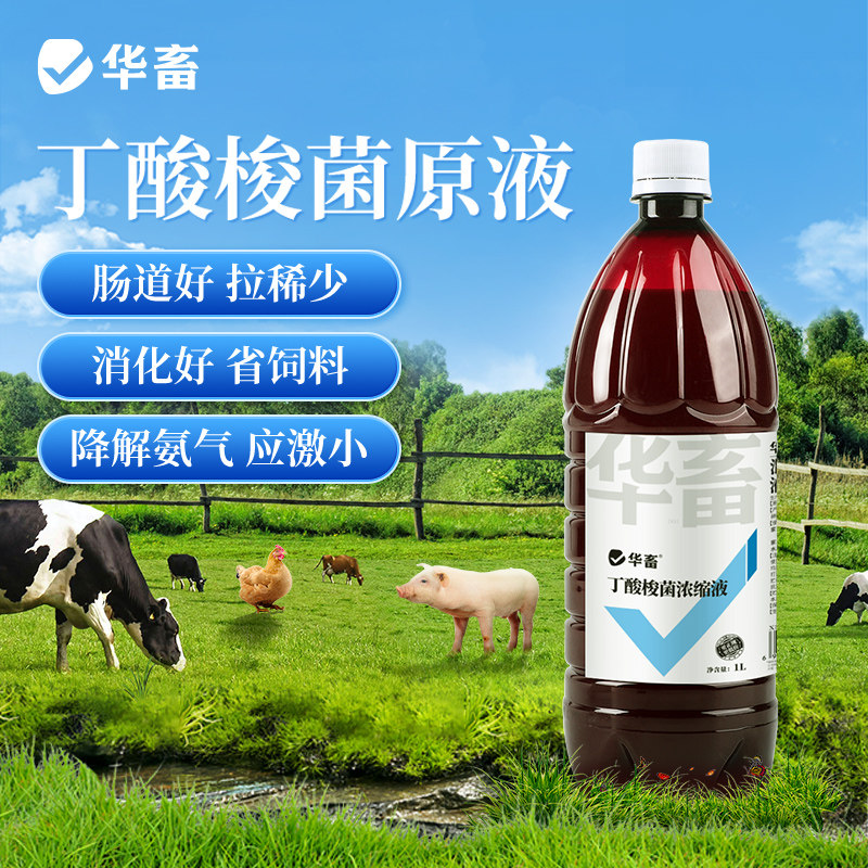 华畜丁酸梭菌浓缩液兽用益生菌猪牛羊鸡鸽禽用鸡儿健氨立消em菌液,淘宝优惠券,粉丝福利购,淘宝优惠卷