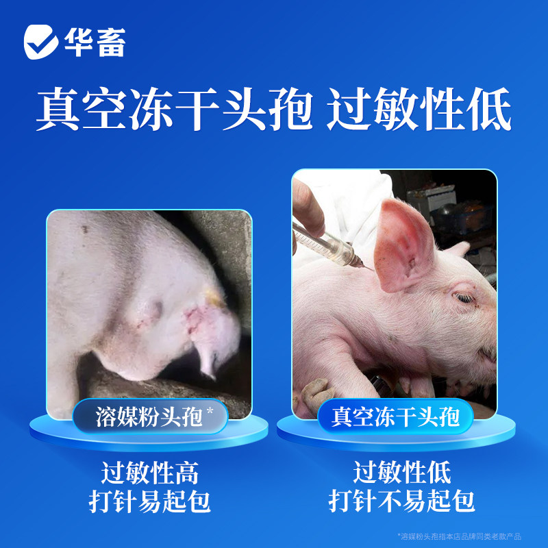华畜兽药头孢噻呋钠注射兽用冻干粉国标正品注射液针剂猪用消炎药,淘宝优惠券,粉丝福利购,淘宝优惠卷