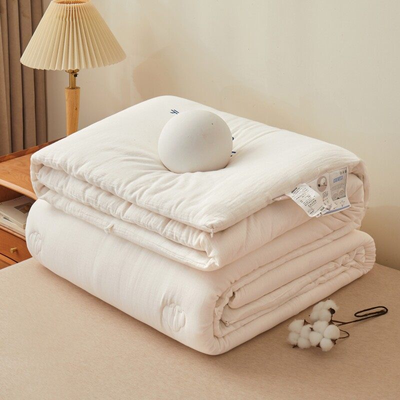 2025新款全棉A类皱皱双层纱棉花被被子冬被棉被被芯冬季加厚保暖,淘宝优惠券,粉丝福利购,淘宝优惠卷