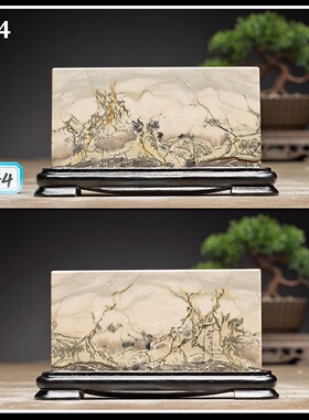 广西国画石草花石奇石7×12CM带底座方形小薄片摆件TF1-TF38