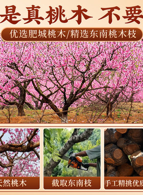 桃树枝7厘米7根五彩绳东南桃木枝7公分随身携带清明节端午节挂件