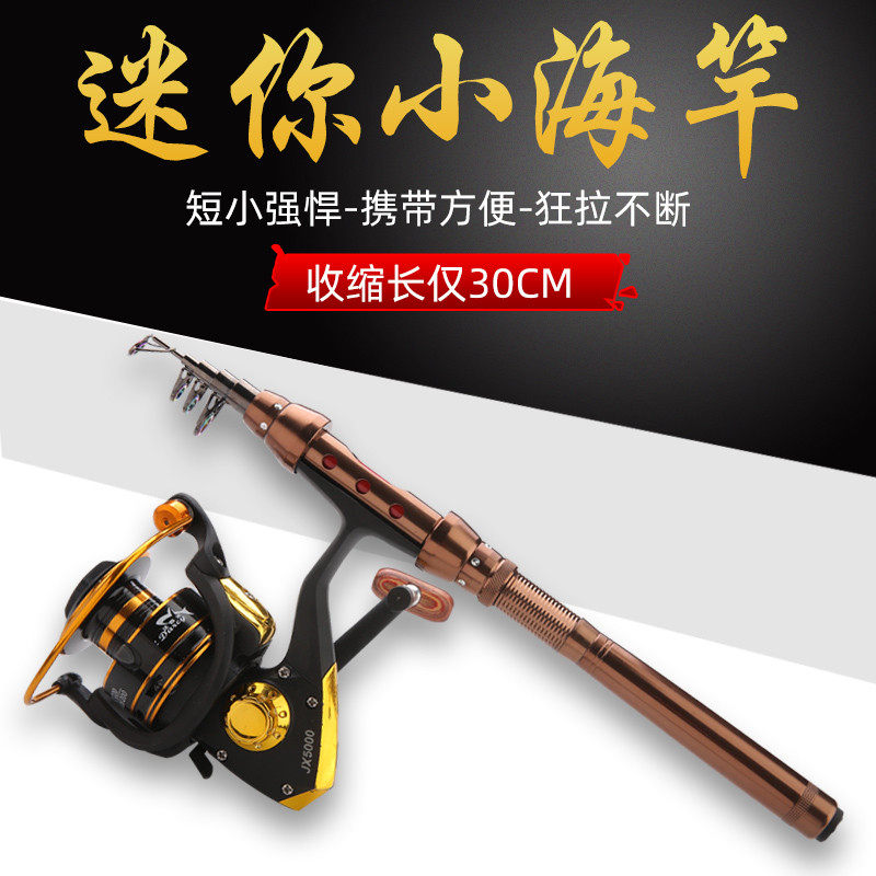 小海竿套装迷你短节鱼竿海杆路亚小矶竿钢笔裸竿甩杆远投抛竿套装,淘宝优惠券,粉丝福利购,淘宝优惠卷