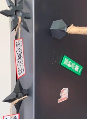 我将其称之为最帅冰箱贴～