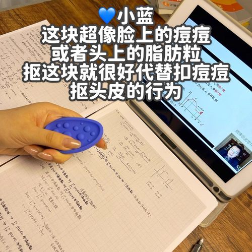 正版感官石adhd玩具硅胶专注豆手指解压神器儿童捏捏男女礼物抓板 - 图1