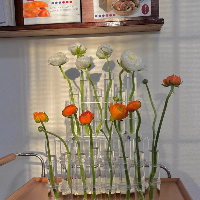 ins风支架试管玻璃花瓶水培插花客厅玄关摆件水养断头花高颜值大