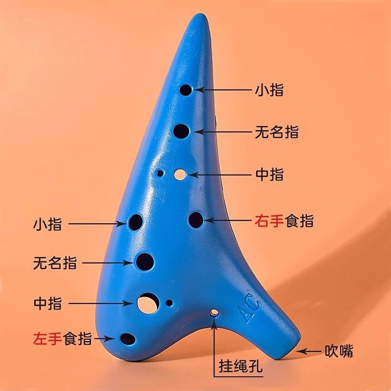 图5