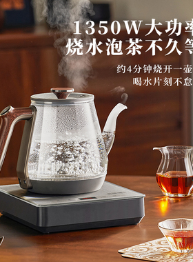 【海外同款】纯钛自动上水电水壶