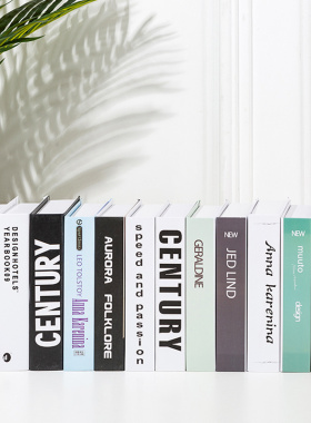 小号假书仿真书装饰品摆设拍摄道具模型书O盒客厅书柜电视柜摆件