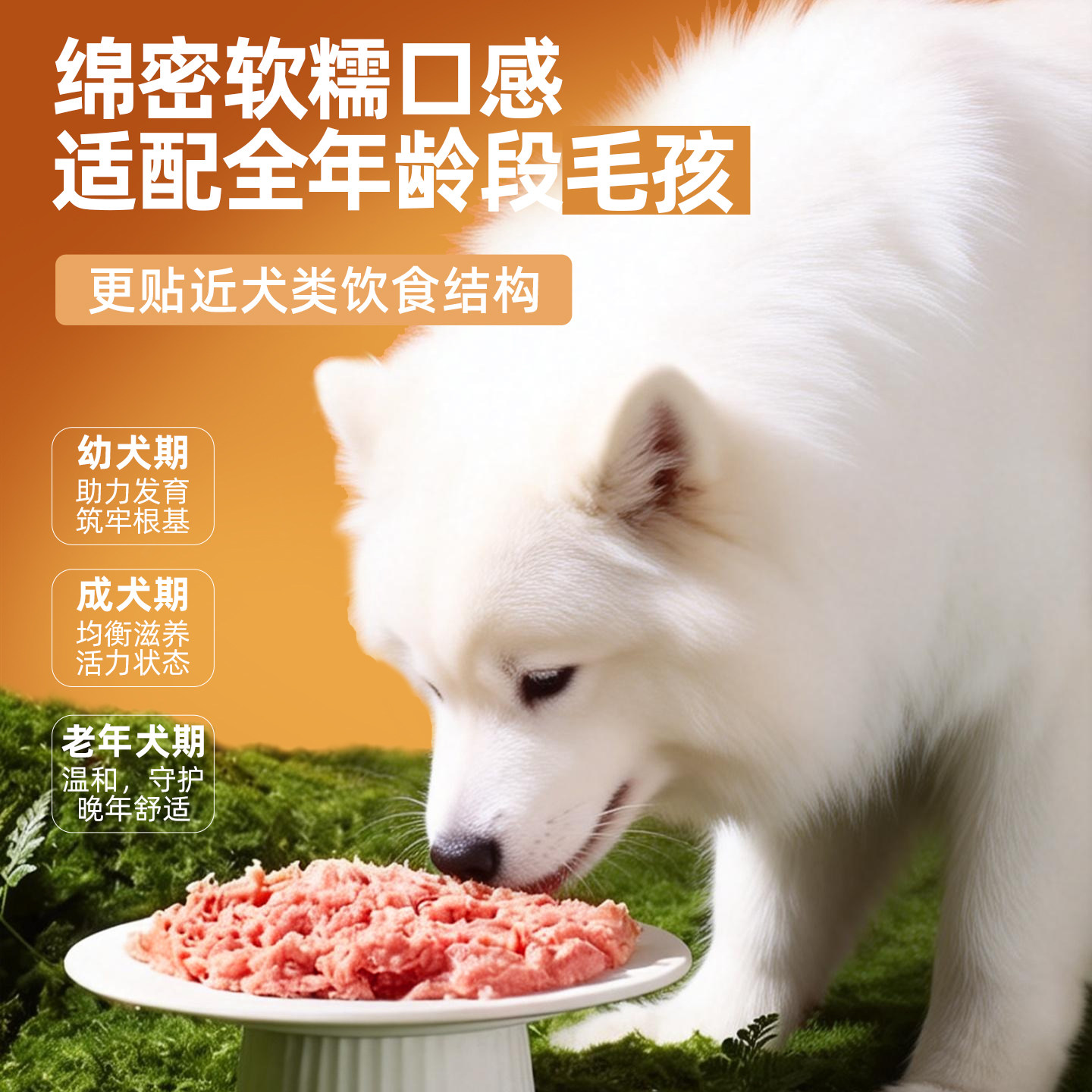 CHIEF原野酋长犬罐头出口级宠物食品富含DHA+全阶段0添加宠物罐头,淘宝优惠券,粉丝福利购,淘宝优惠卷