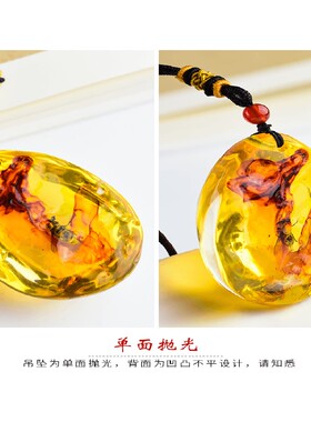 真实昆虫标本琥珀吊坠蝎子蝴蝶蜘蛛真虫项链挂件个性创意吊坠礼物
