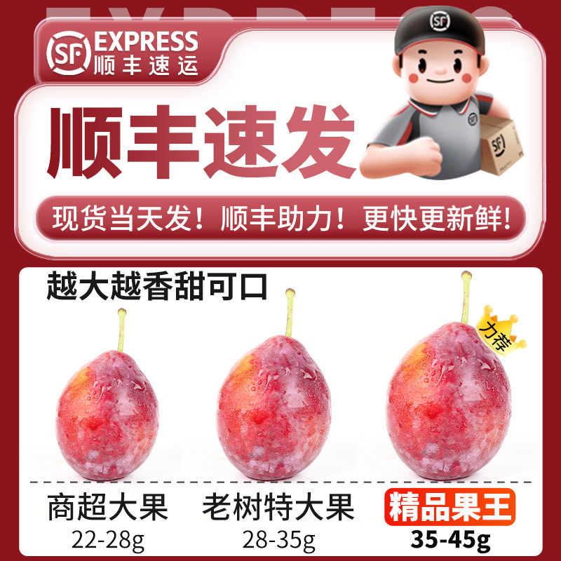 顺丰直达5斤智利进口西梅鲜果新鲜李子当季水果整箱包邮应季孕妇,淘宝优惠券,粉丝福利购,淘宝优惠卷