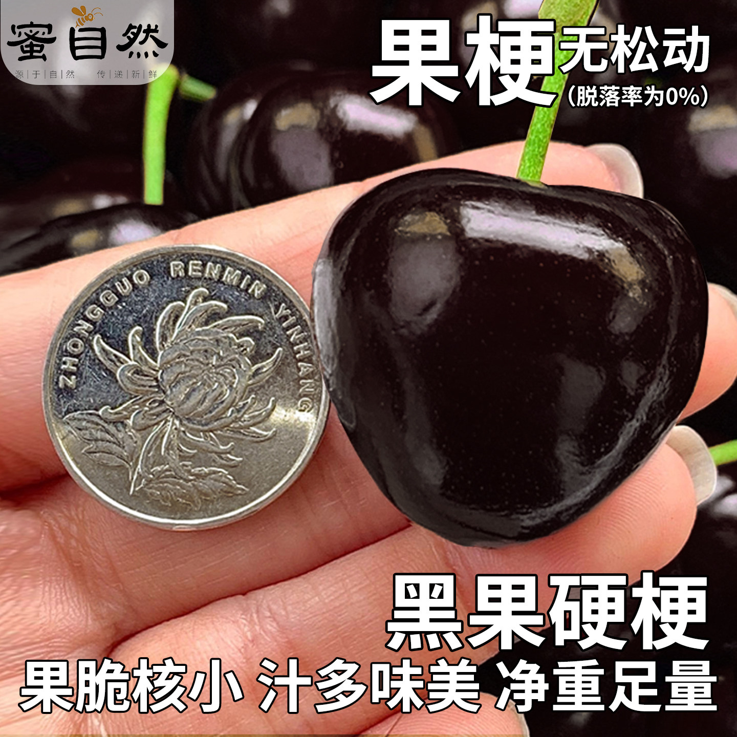 顺丰空运 桑提娜车厘子智利进口黑珍珠新鲜水果5斤5J特大樱桃孕妇,淘宝优惠券,粉丝福利购,淘宝优惠卷