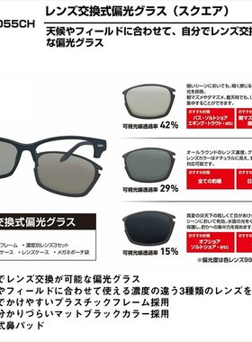 日本直邮Daiwa 偏光眼镜 DN-8055CH 哑光黑/灰色