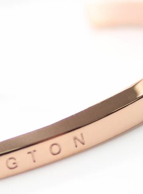 日本直邮Daniel Wellington 手链  女士 DW00400003 配饰 DW 热门