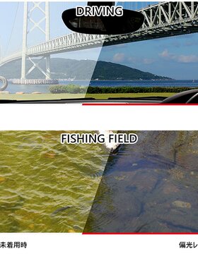 SWANS 女士 休息日 路径 DAYOFF DF Pathway 太阳镜 偏光镜片 骑