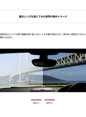 SWANS 男士女士太阳镜备用镜片 STRIX DA 偏光镜片型号防紫外线银