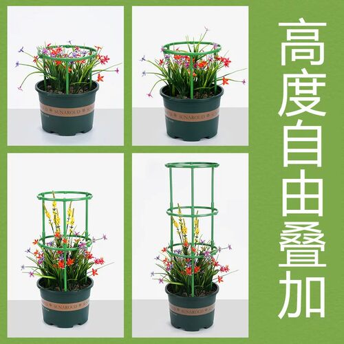 花架子室内家用爬藤架火龙果月季蟹爪兰绿萝太阳花植物爬藤支撑杆 - 图1