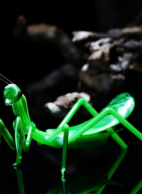 琉璃仿真蝈蝈螳螂昆虫小摆件微盆景观H装饰送父亲老人玻璃工艺礼