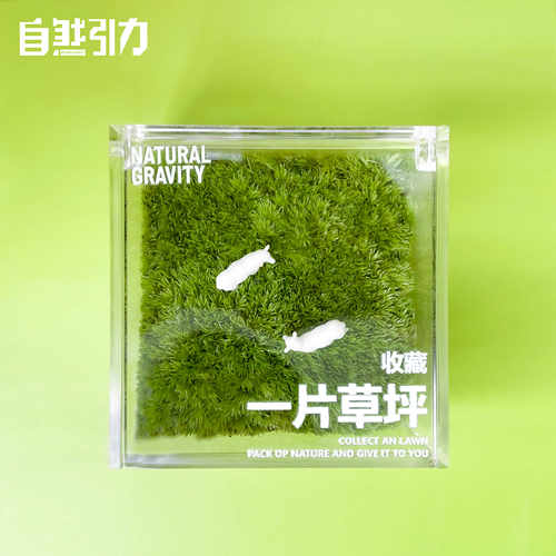 自然引力-一片草坪 苔藓微景观办公桌面懒人绿植盆栽创意小礼物 - 图1