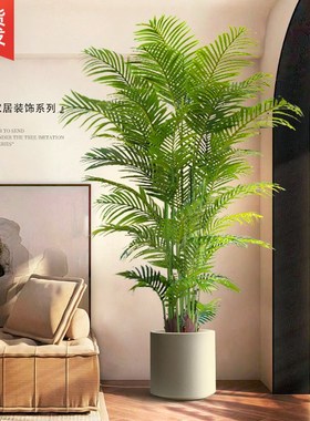 大型落地摆件玄关装n饰品电视柜高级仿生客厅仿真绿植散尾葵假盆