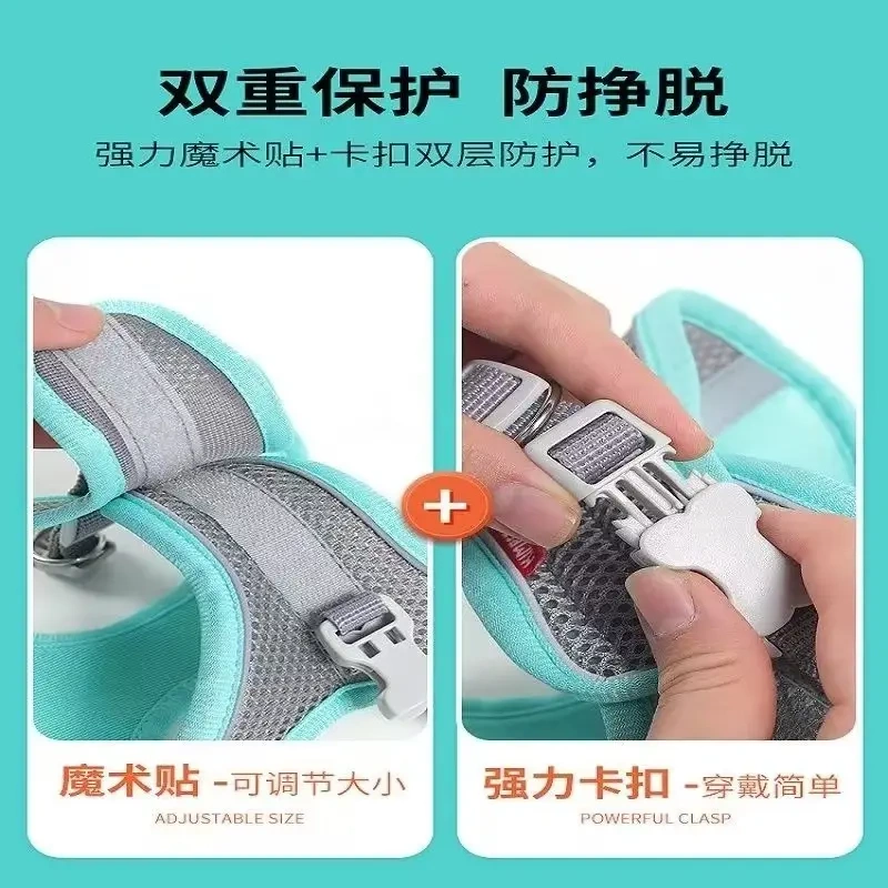 小体犬幼犬专用牵引绳超小体约克夏胸背茶杯犬1斤狗绳小鹿犬狗狗,淘宝优惠券,粉丝福利购,淘宝优惠卷