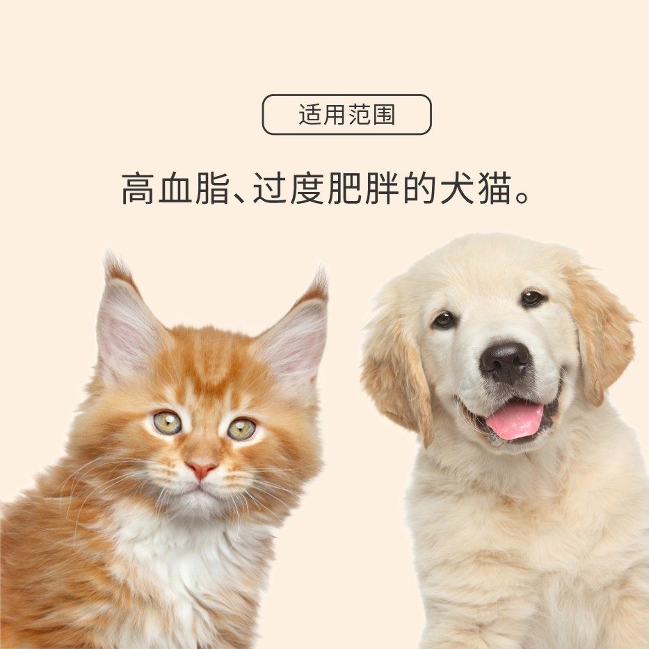 全价犬猫处方罐头（低脂）,淘宝优惠券,粉丝福利购,淘宝优惠卷