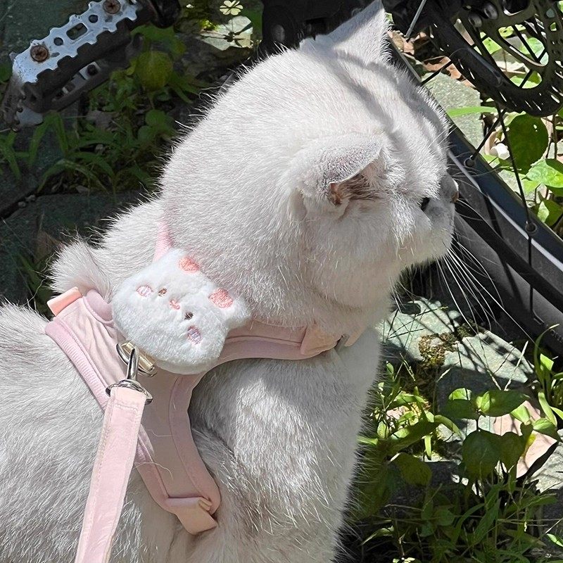 猫咪牵引绳可调节遛猫绳子可爱幼猫外出胸背带小型犬防丢宠物用品,淘宝优惠券,粉丝福利购,淘宝优惠卷