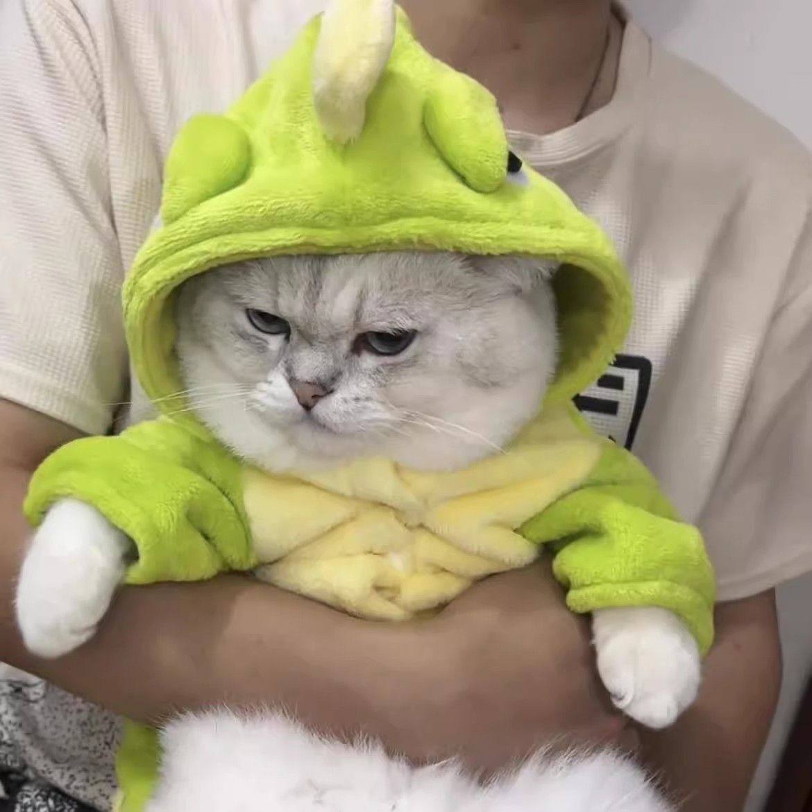 可牵引恐龙猫咪衣服秋冬款小猫布偶猫英短蓝小型犬狗狗衣服加绒款,淘宝优惠券,粉丝福利购,淘宝优惠卷