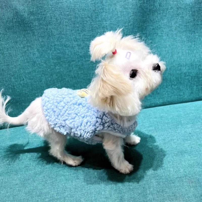 幼猫幼犬衣服小泰迪小狗小体茶杯犬奶狗奶猫1个2个月小猫春秋背心,淘宝优惠券,粉丝福利购,淘宝优惠卷