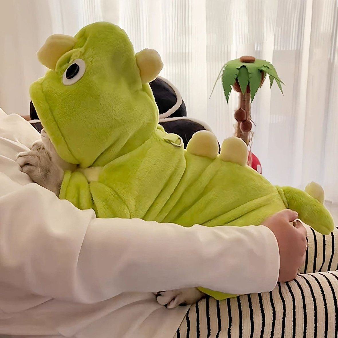 可牵引恐龙猫咪衣服秋冬款小猫布偶猫英短蓝小型犬狗狗衣服加绒款,淘宝优惠券,粉丝福利购,淘宝优惠卷