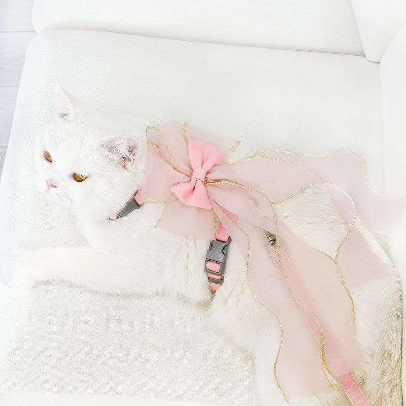 宠物牵引绳 猫咪胸背套装 狗绳防挣脱小型犬外出遛猫遛狗小猫用品,淘宝优惠券,粉丝福利购,淘宝优惠卷