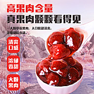 烘焙果粒酱500g多种口味可选