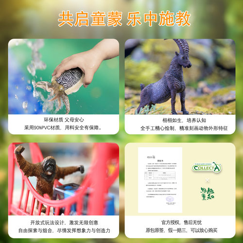 【顺丰包邮】英国CollectA实心仿真动物模型玩具霸王三角翼恐龙 - 图1