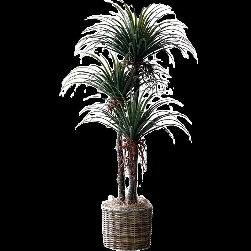 龙血树仿真绿植装饰盆景大型仿生假树植物N盆栽室内酒店橱窗摆件,淘宝优惠券,粉丝福利购,淘宝优惠卷