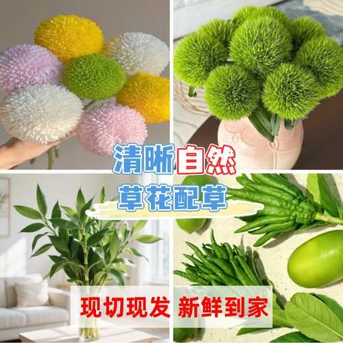39.9元任选3件 鲜花云南直发玫瑰鲜花卉插花家用鲜切花风铃花绣球 - 图2