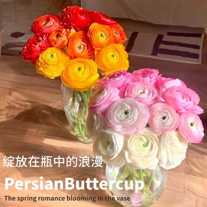 云南鲜花基地玫瑰洋牡丹顺丰包邮年宵花鲜花速递同城花束插花水养,淘宝优惠券,粉丝福利购,淘宝优惠卷