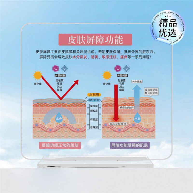 高颜值diy皮肤管理美容院摆件皮肤屏障功能肌肤S表皮结构代谢周期,淘宝优惠券,粉丝福利购,淘宝优惠卷