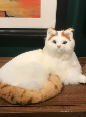 仿真猫咪家居摆件桌面o饰品创意工艺品样板间场景道具可爱猫咪模