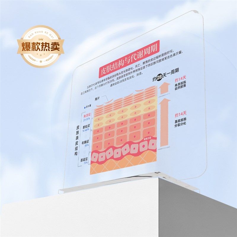 高颜值diy皮肤管理美容院摆件皮肤屏障功能肌肤S表皮结构代谢周期,淘宝优惠券,粉丝福利购,淘宝优惠卷