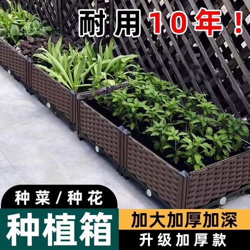 家庭阳台种植箱种菜神器蔬菜专用长方形塑料花盆楼顶花箱户外庭院 - 图0