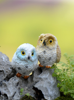 苔藓微景观猫头鹰绿植树脂摆件